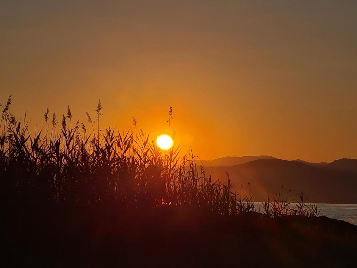 Avra Beach Apartments Lefkimmi  Dış mekan fotoğraf